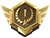 Gold Icon